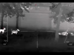 Bermata pencitraan termal